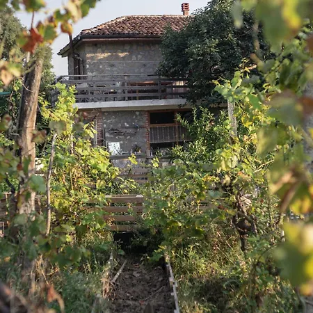 The House In The Village *