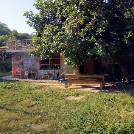 The House In The Village