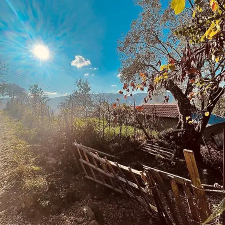 The House In The Village Penzion *