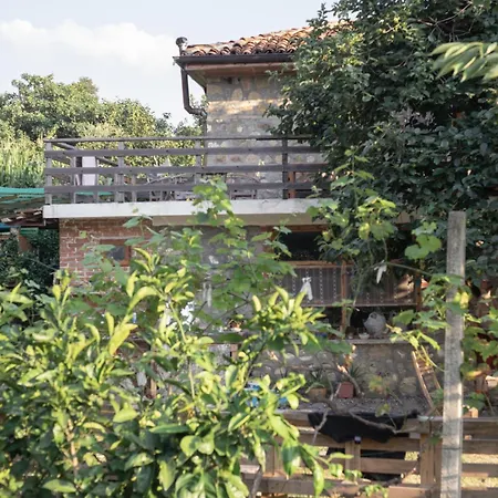 Penzion The House In The Village Pellumbas