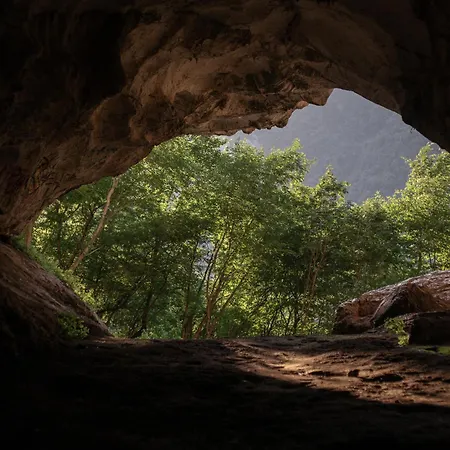 The House In The Village 招待所 Pellumbas