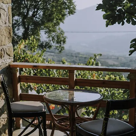 The House In The Village Pellumbas