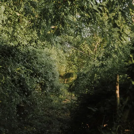 Penzion The House In The Village Pellumbas