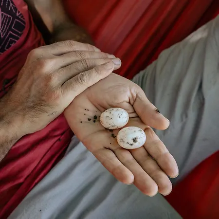 The House In The Village 招待所