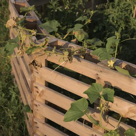 The House In The Village * Pellumbas