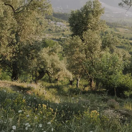 The House In The Village * Pellumbas