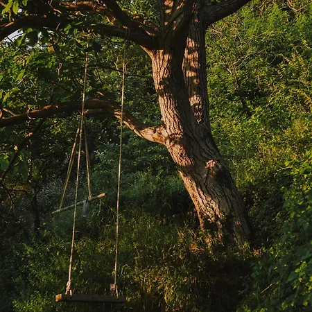 Penzion The House In The Village