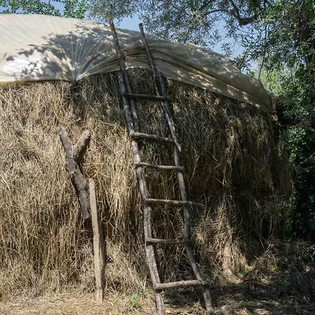 The House In The Village