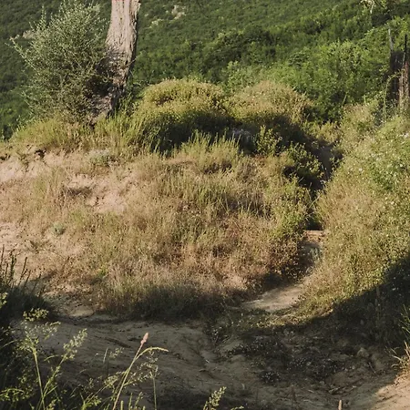 The House In The Village Penzion *