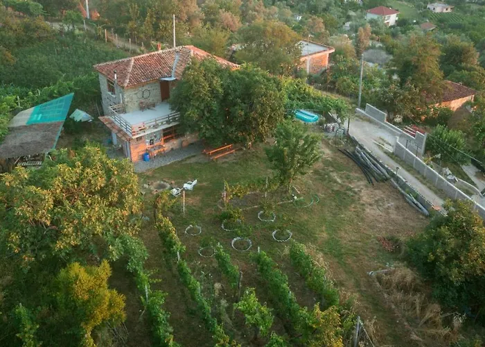 The House In The Village Gasthuis *