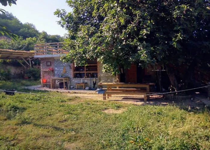 The House In The Village