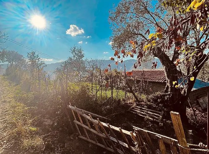 The House In The Village Gasthuis *