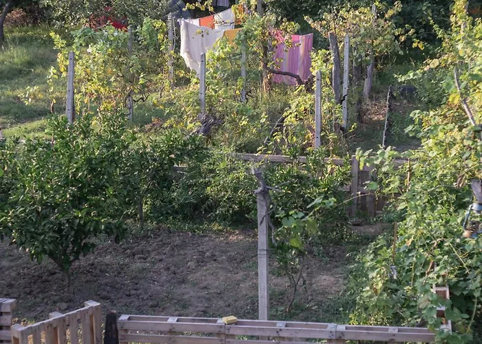 The House In The Village Gasthuis *