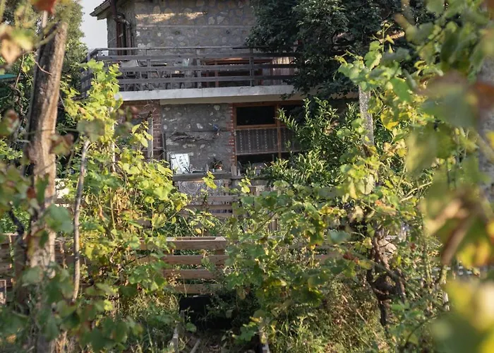 The House In The Village *