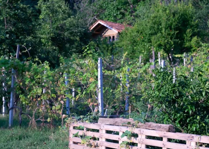 The House In The Village