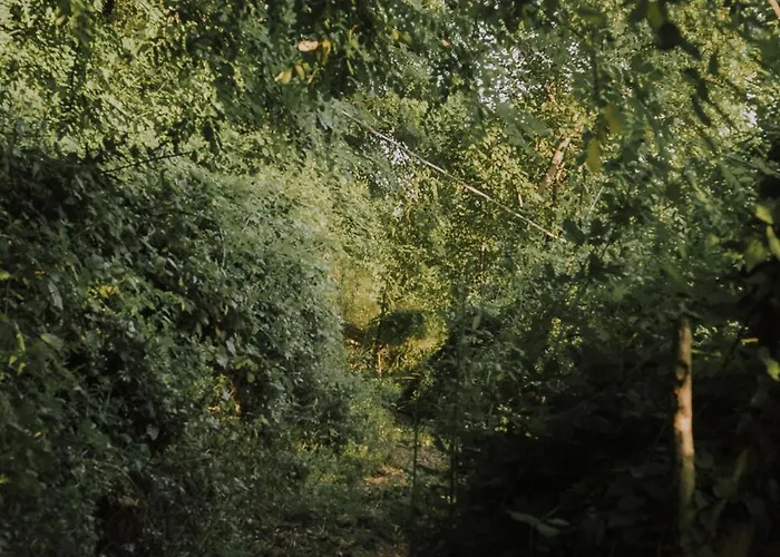 Gasthuis The House In The Village Pellumbas