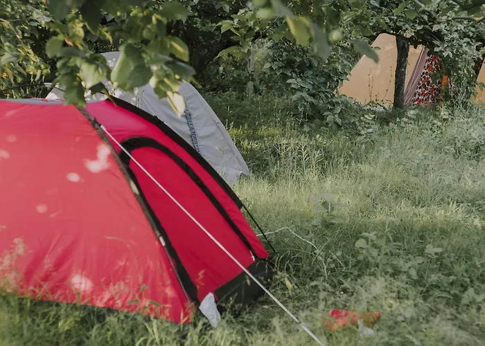 The House In The Village Gasthuis