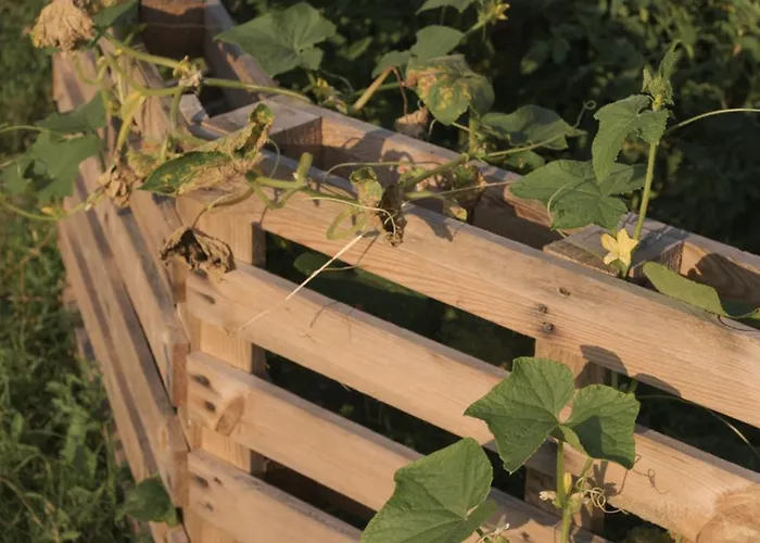 The House In The Village * Pellumbas