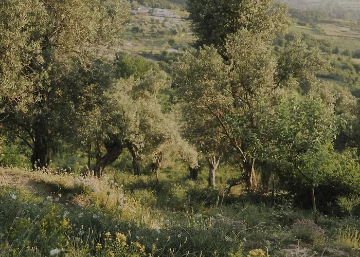 The House In The Village * Pellumbas