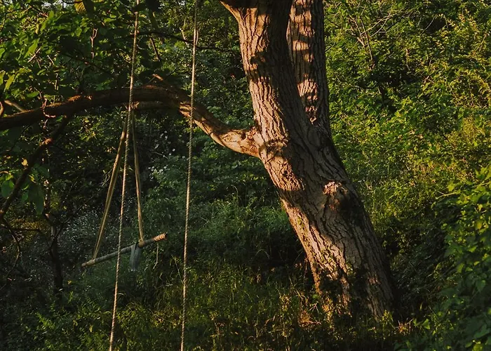 Gasthuis The House In The Village
