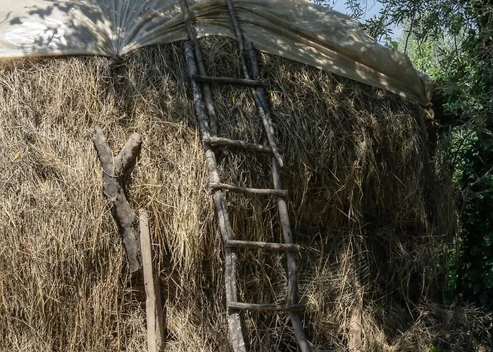 The House In The Village