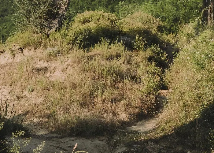 The House In The Village Gasthuis *