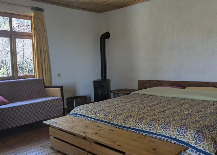 The House In The Village Pellumbas