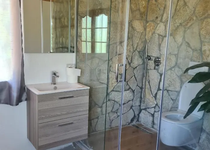 The House In The Village